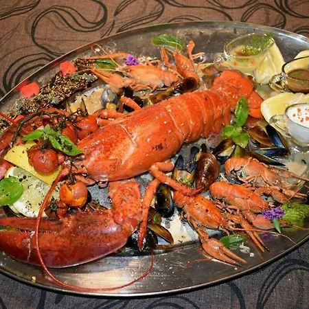 Cosher - Gardenia Palace 9 Free Parking Daire Ahyolu